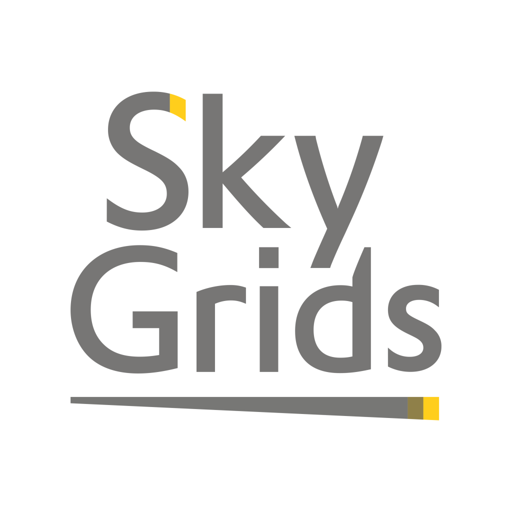 SkyGrids logo